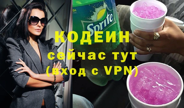 гашик Верея