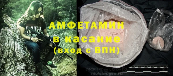 гашик Верея