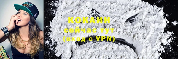 гашик Верея