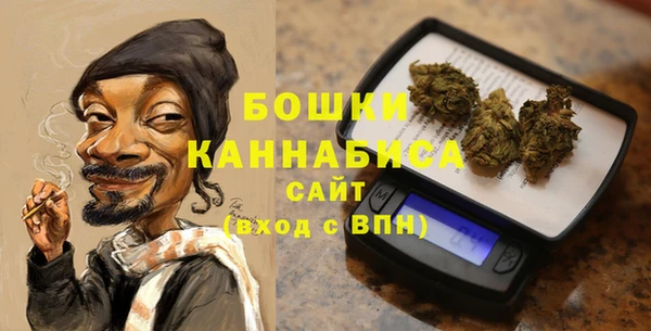 спиды Вяземский