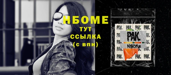 гашик Верея