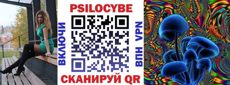 Псилоцибиновые грибы мицелий  продажа наркотиков  Зверево 